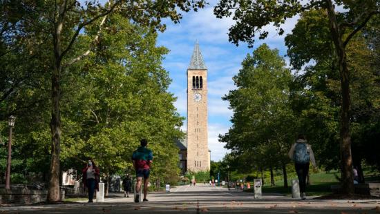 A large clock tower centered between two rows of trees.