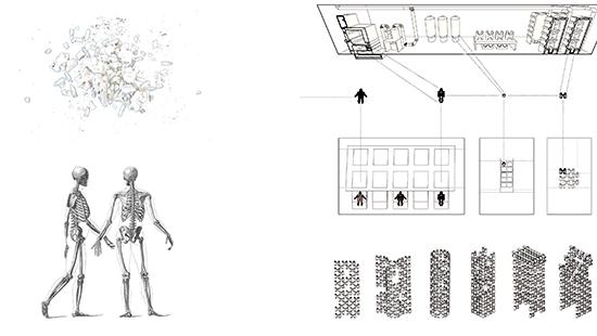 Drawing of two skeletons next to rectangular architectural studies.